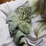 Ingrid ゲストハウス