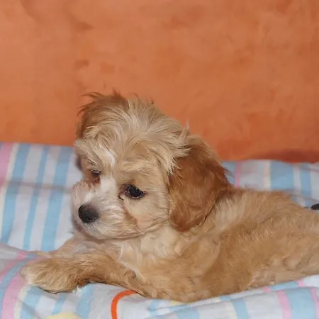 Gasthuis Ingrid Loich