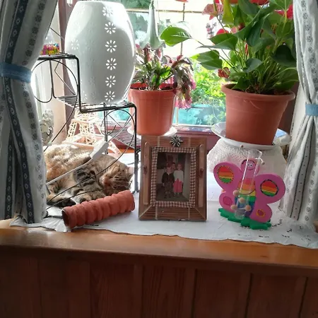 Ingrid Πανσιόν Loich