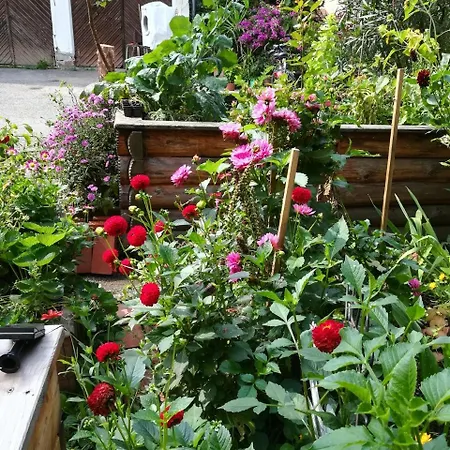 Ingrid Gasthuis Loich