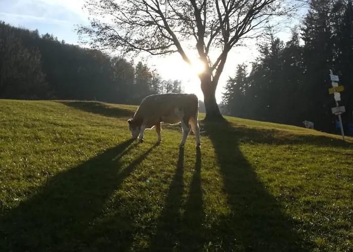 Gasthuis Ingrid Loich