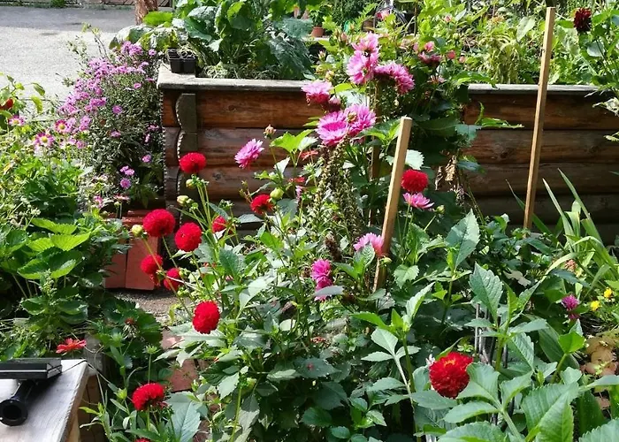 Ingrid Gasthuis Loich